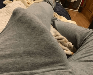 William S. review screenshot