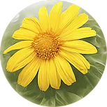 New Project 2025 04 08T180200.892