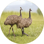 New Project 2025 04 08T180218.774