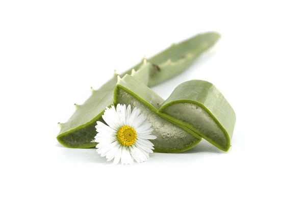 Relieflogix Hemorrhoid Spray image Relieflogix Hemorrhoid Spray